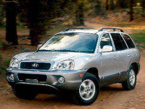 Коврики EVA для Hyundai Santa Fe I (suv / SM) 2000 - 2004