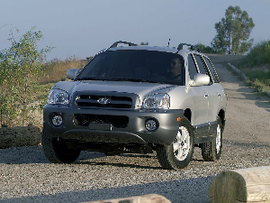 Коврики EVA для Hyundai Santa Fe I (suv / SM) 2004 - 2006