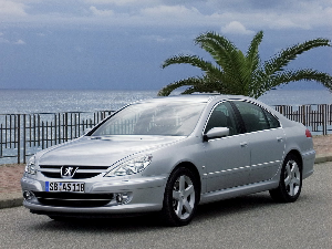 Коврики EVA для Peugeot 607 (седан) 2004 - 2008